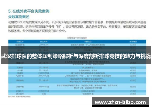 武汉排球队的整体压制策略解析与深度剖析排球竞技的魅力与挑战