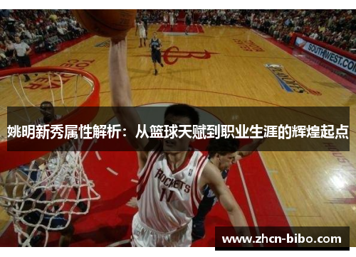 姚明新秀属性解析：从篮球天赋到职业生涯的辉煌起点
